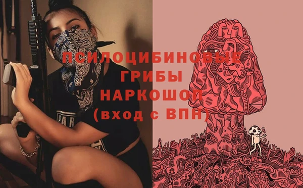 прущий лед Костерёво