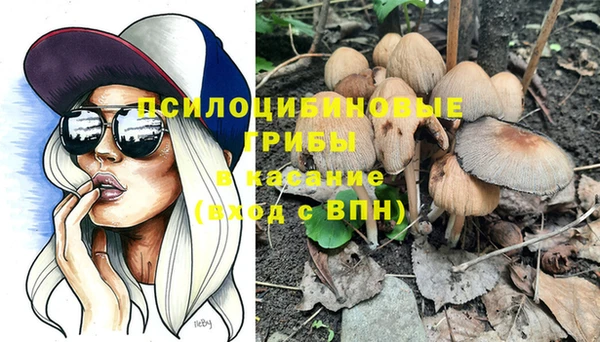 кристаллы Корсаков