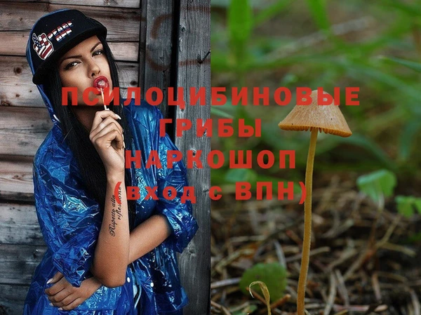 прущий лед Костерёво