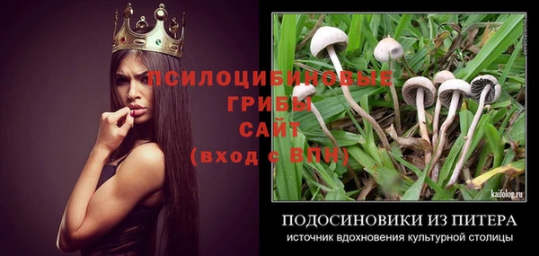 таблы Коряжма