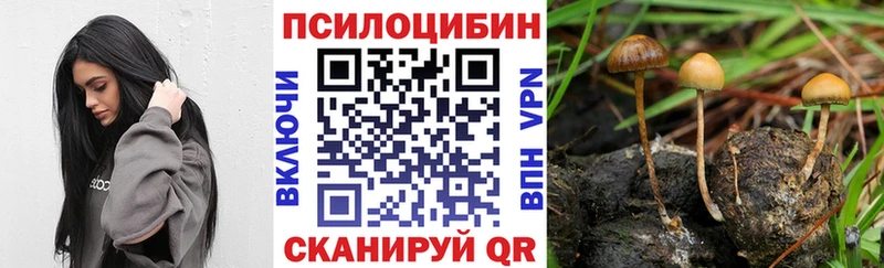 Купить где  Ворсма  Псилоцибиновые грибы прущие грибы 